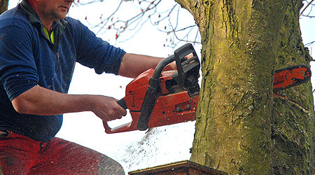 Foto: pixelio.de - Paul-Georg Meister