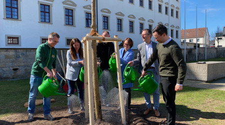 Foto: B&uuml;ro Annette Widmann-Mauz