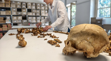 Anthropologische Untersuchung eines Skeletts vom fr&uuml;hmittelalterlichen Fundplatz Altheim bei Landshut an der Staatsammlung f&uuml;r Anthropologie M&uuml;nchen (SAM) (Quelle: Foto/?: Harbeck/SAM)
